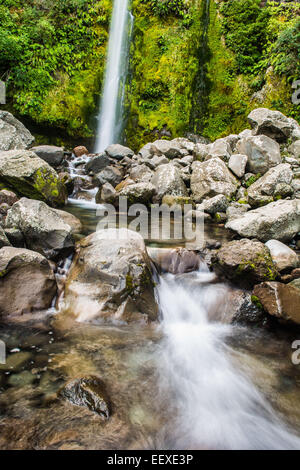 Dawson Falls, Egmont National Park, North Island, New Zealand Stock Photo