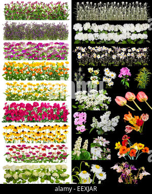 Flowers lines on bed isolated on black and white  set collage Stock Photo