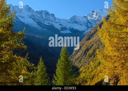 Autumn in the Gran Paradiso National Park, Valnontey, Piedmont, Italy Stock Photo