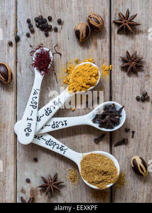 Spices from Zanzibar: saffron, turmeric, cloves, cumin, pepper, nutmeg and anise. Stock Photo