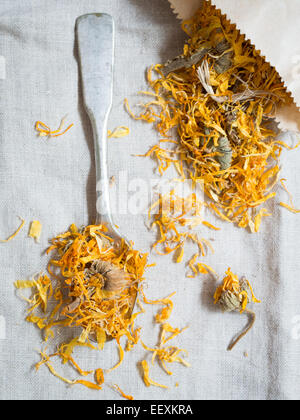 Dry calendula officinalis (pot marigold). Stock Photo