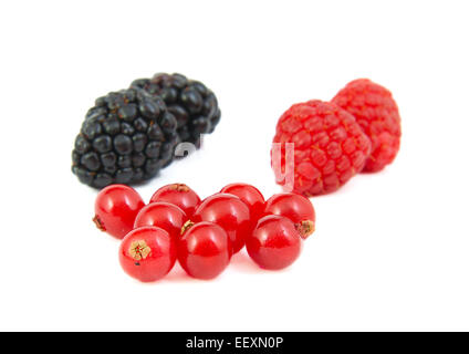 Blackberries, red currants and raspberries on white background Stock Photo