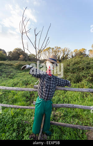 Scarecrow in a vegetable garden in a countryside Stock Photo