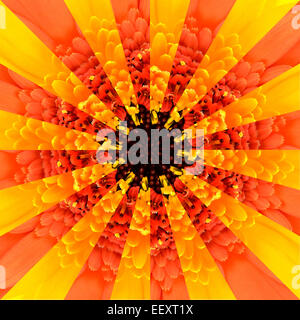 Flower Center Symmetric Collage Made of Collection of Gerbera Flowers. Pieces are Seamlesly Divided into Symmetric pieces. Stock Photo