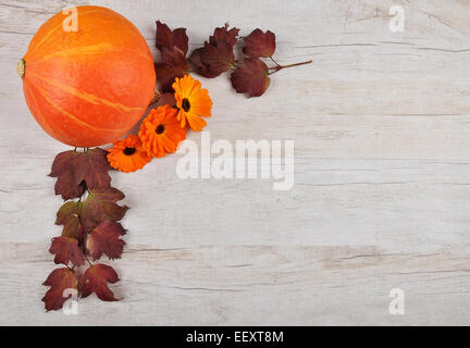 Pumpkin background Stock Photo
