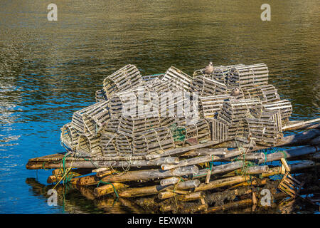 A tumbled down stack of lobster traps in coastal Newfoundland near Trinity. Stock Photo