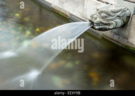 Gargoyle in the fountain Stock Photo