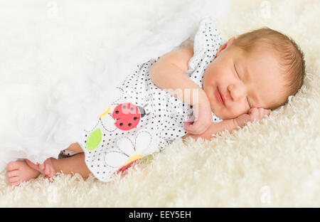 Newborn baby girl asleep on fur blanket Stock Photo