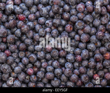 Fresh blueberries close-up Stock Photo