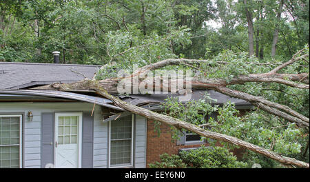 A large oak tree falls on a small house during a summer storm, caving ...