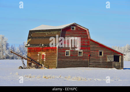 An old red barn on a farm in rural Alberta Canada Stock Photo