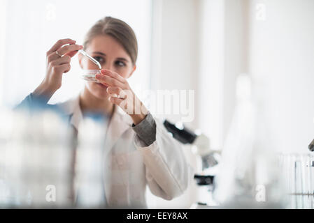 Female lab technician using pipette and petri dish Stock Photo