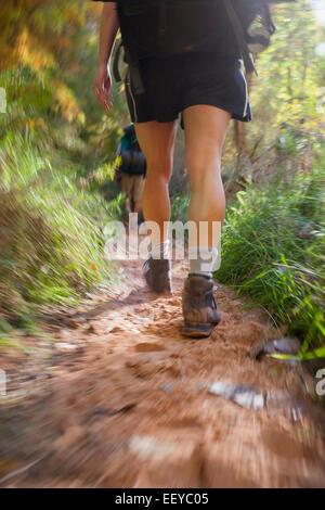 USA, Utah, Grand Gulch, Woman hiking in forest Stock Photo