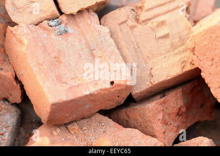 Building materials: red bricks for construction piled on the floor of a street in Godawari-Lalitpur distr.-Bagmati zone-Nepal. Stock Photo