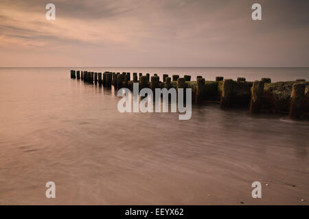 Groynes on shore of the Baltic Sea. Stock Photo