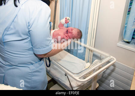 A crying new born baby being put into a cot after being weighed and measured on a ward. Stock Photo
