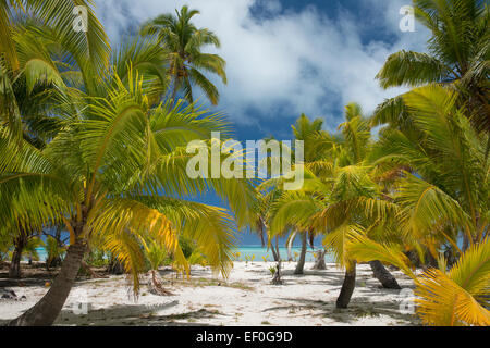 Cook Islands, Aitutaki (aka Araura). One Foot Island, a small 'motu' in the south-east area of the lagoon. Stock Photo