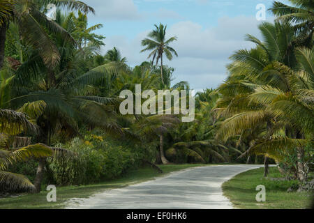 Independent territory of New Zealand, Polynesia, Niue. Stock Photo