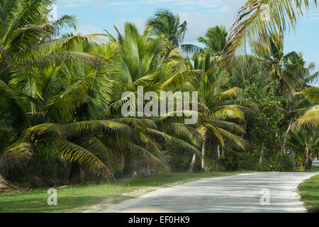 Independent territory of New Zealand, Polynesia, Niue. Stock Photo