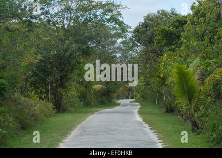 Independent territory of New Zealand, Polynesia, Niue. Stock Photo