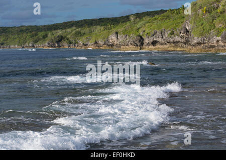 Independent territory of New Zealand, Polynesia, Niue, Alofi. Niue is a large standalone coral atoll. Stock Photo