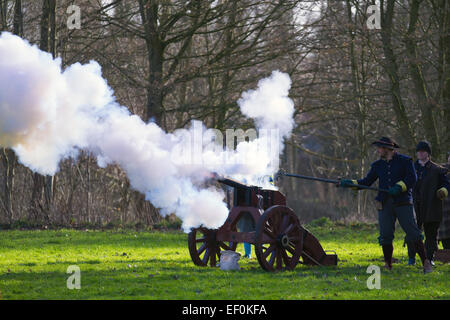 Exploding firing canon at Nantwich, Cheshire, UK. 24th Jan, 2015. Holly Holy Day & Siege of Nantwich re-enactment with artillery known as falconet or falcon which was a light cannon  For over 40 years the faithful troops of The Sealed Knot have gathered in the historic town for a spectacular re-enactment of the bloody battle that took place almost 400 years ago and marked the end of the long and painful siege of the town during the English Civil War Stock Photo