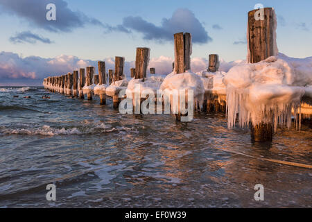 Groynes on shore of the Baltic Sea Stock Photo