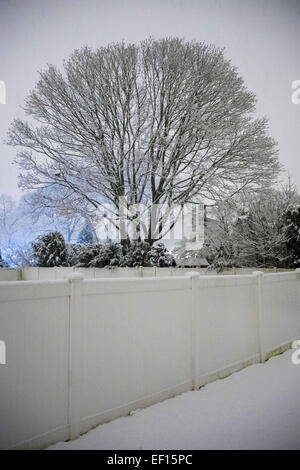 Snow in backyards of a residential area in Jette, Brussels Capital ...