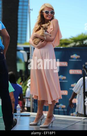 Paris Hilton appears on Extra with her pet chihuahua dog, Peter Pan.  Featuring: Paris Hilton Where: Los Angeles, California, United States When: 22 Jul 2014 Stock Photo