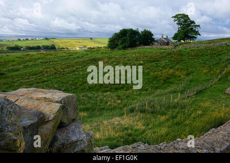 Sycamore Gap on Hardians Wall, Northumberland Stock Photo