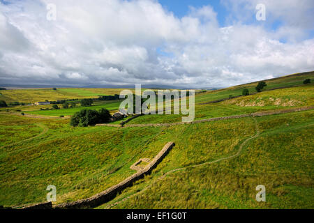 Sycamore Gap on Hardians Wall, Northumberland Stock Photo