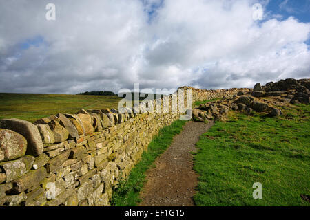 Sycamore Gap on Hardians Wall, Northumberland Stock Photo