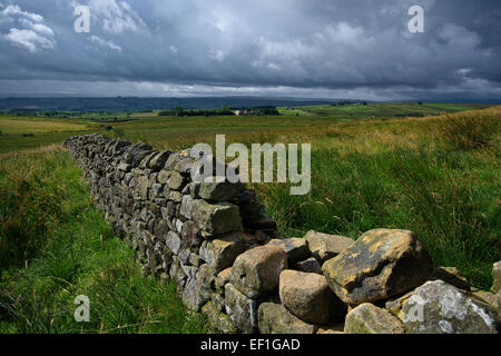 Sycamore Gap on Hardians Wall, Northumberland Stock Photo