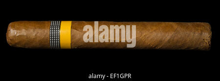 One big and exclusive Cuban Cigar on black background. Stock Photo