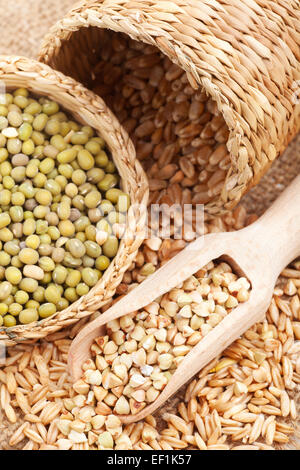 Green buckwheat, wheat, oat and mung - Cereal Grains and beans Stock Photo