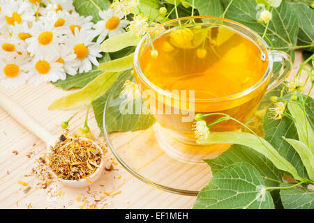 linden and chamomile flowers and cup of healthy tea, herbal medicine Stock Photo