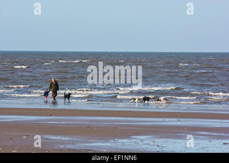 grandfather granddaughter beach walk dogs toddler Stock Photo