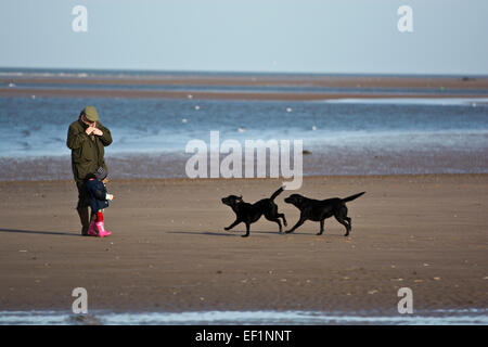 Grandfather with small toddler granddaughter and dogs on beach Stock Photo