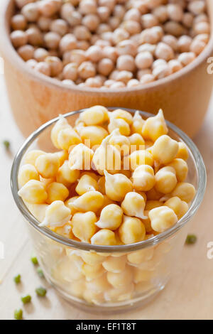 Chick peas sprouts and dried seeds in bowl Stock Photo