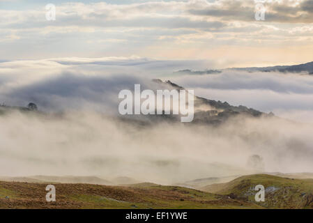 Mist & low cloud over Doon of Castramont and the Fleet Valley, Gatehouse of Fleet, Dumfries & Galloway, Scotland Stock Photo