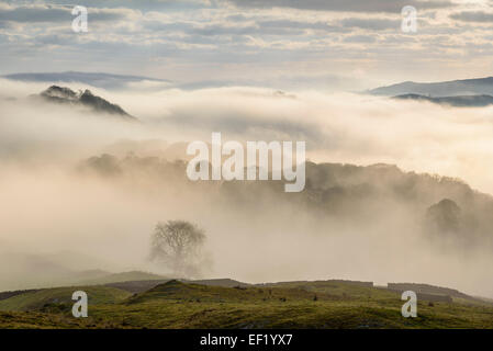 Mist & low cloud over Doon of Castramont and the Fleet Valley, Gatehouse of Fleet, Dumfries & Galloway, Scotland Stock Photo