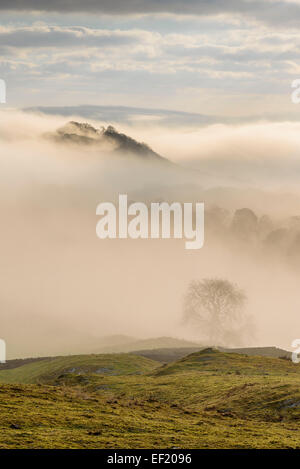 Mist & low cloud over Doon of Castramont and the Fleet Valley, Gatehouse of Fleet, Dumfries & Galloway, Scotland Stock Photo