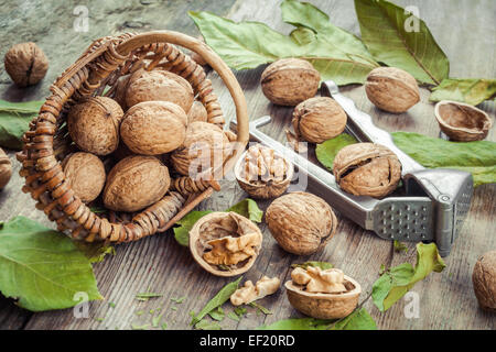 Walnuts, nutcracker and basket on old rustic table Stock Photo
