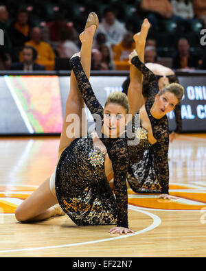 January 24, 2015:Tennessee Volunteers national champion dance team performs during the NCAA basketball game between the University of Tennessee Volunteers and the Texas A&M Aggies at Thompson Boling Arena in Knoxville TN Stock Photo