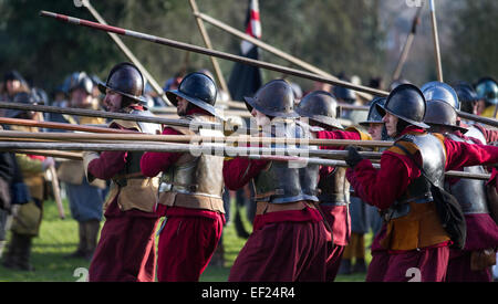 Pikemen in historical costume at Holly Holy Day. Nantwich, Cheshire, UK. 24th Jan, 2015. The Sealed Knot army foot soldiers gathered in the historic town for a spectacular re-enactment of the bloody battle that took place almost 400 years ago, between Parliamentarians and Royalists, which marked the end of the siege of the town. The infantry force, regiments of Roundheads, cavaliers, and uniformed historic entertainers converged upon the town centre to re-enact the Battle. The infantry siege, history british army battles in January 1644 was one of the key conflicts of the English Civil War. Stock Photo