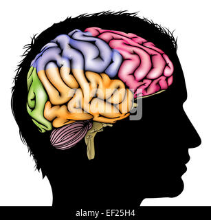 A mans head in silhouette with a sectioned brain. Concept for mental, psychological, brain development, learning and education o Stock Photo