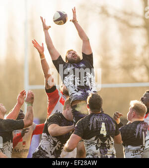 Oxford, UK. 25th January, 2015. European Rugby Champions Cup. London Welsh versus Lyon Olympique. Matt Corker (capt) stretches to reach a line out ball. Credit:  Action Plus Sports Images/Alamy Live News Stock Photo