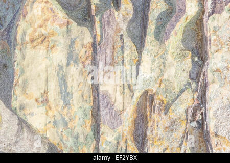 Bright faded nature abstract background or texture. Stock Photo