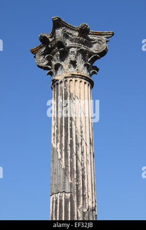 Ruin of an ancient corinthian column Stock Photo