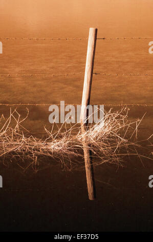 barbed wire fence Stock Photo